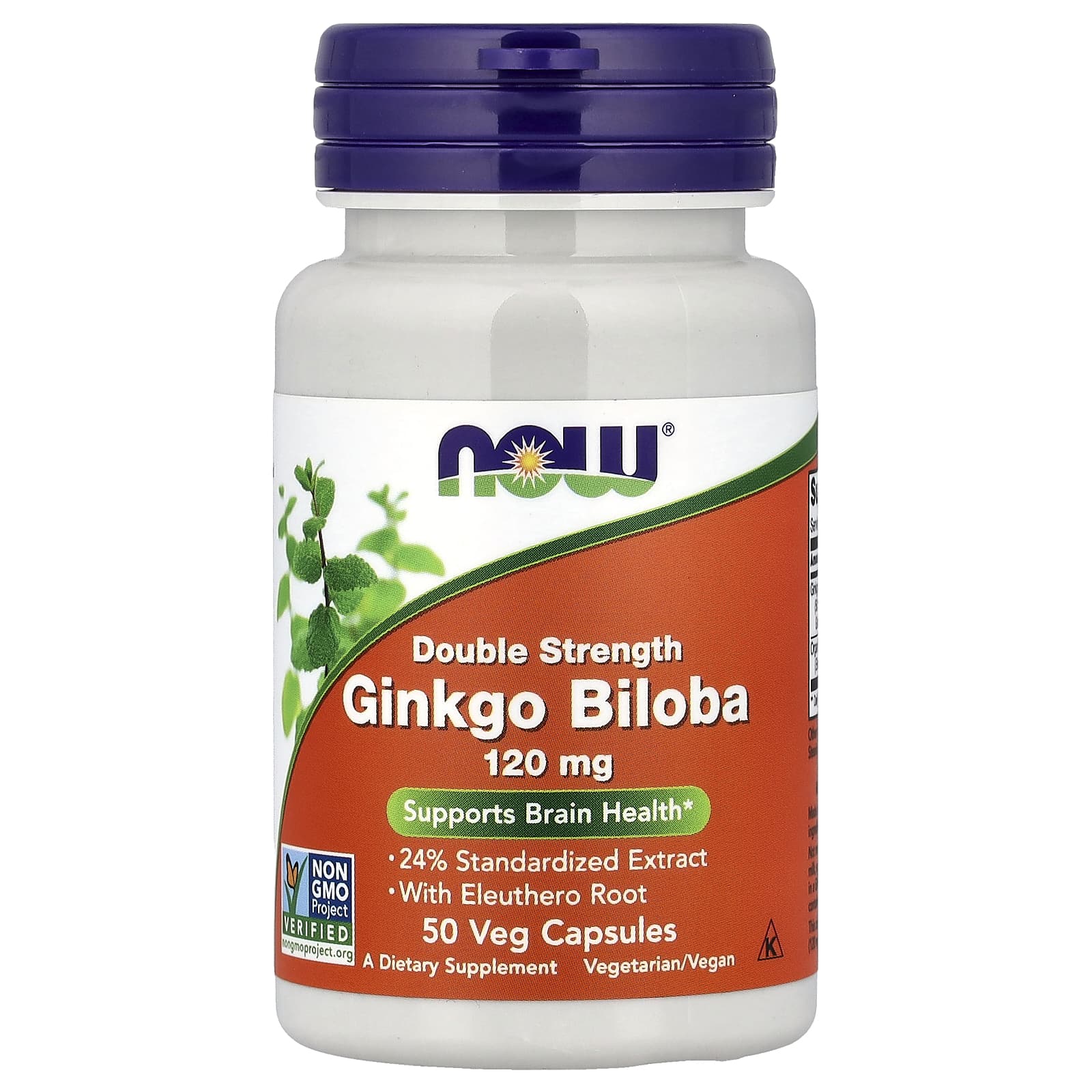 NOW Foods Ginkgo Biloba with Eleuthero Root