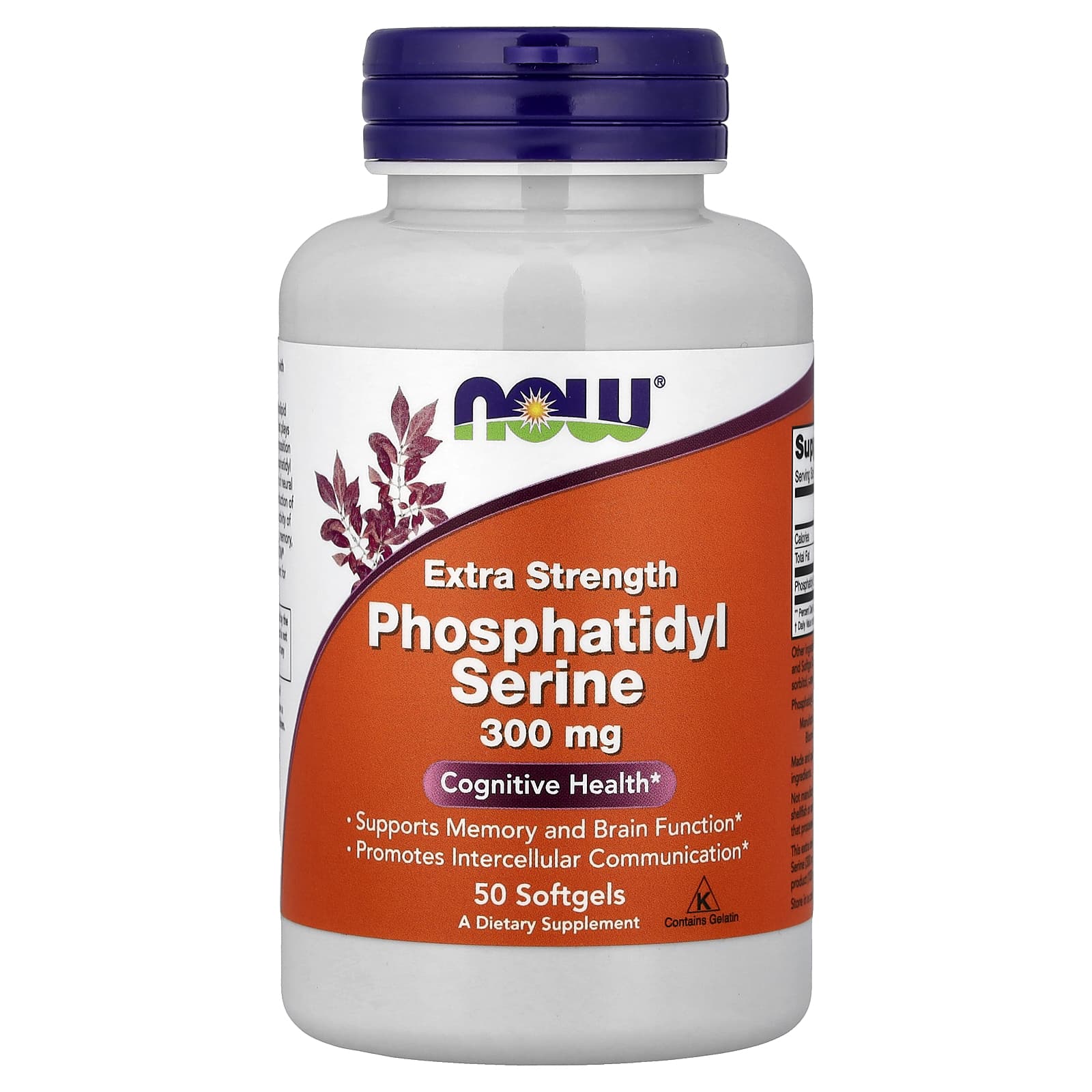 NOW Foods Phosphatidyl Serine